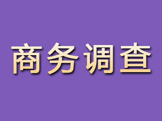 蛟河商务调查